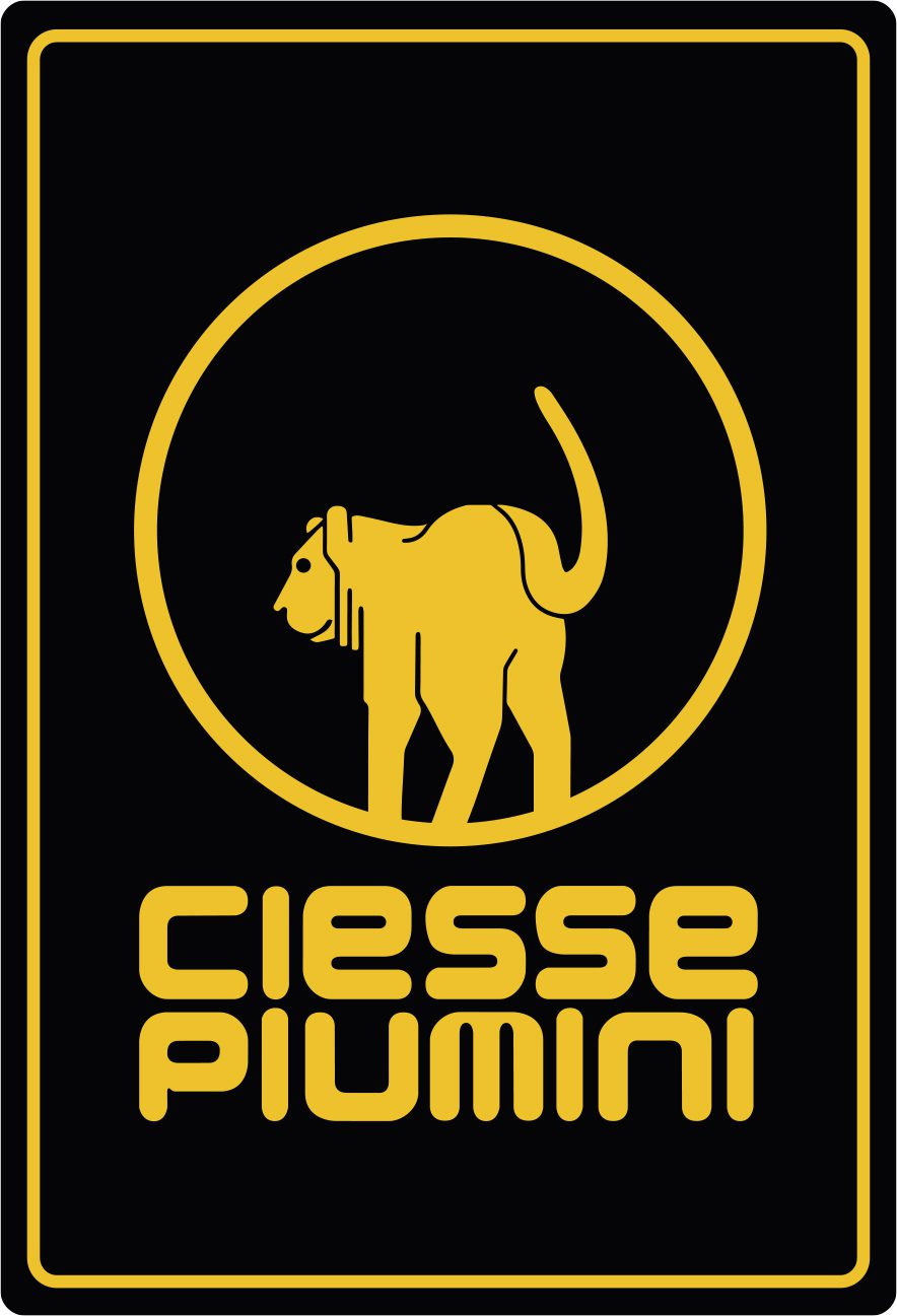 Logo Ciesse Piumini