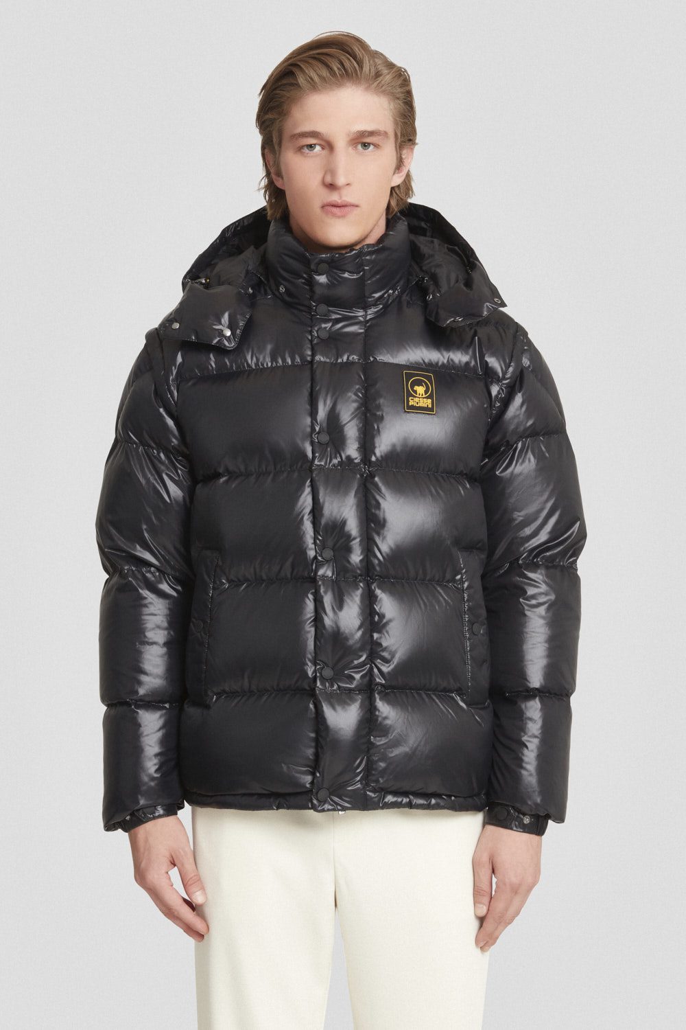 ANTON_253PCMJI8560N3P11D206XXP_2