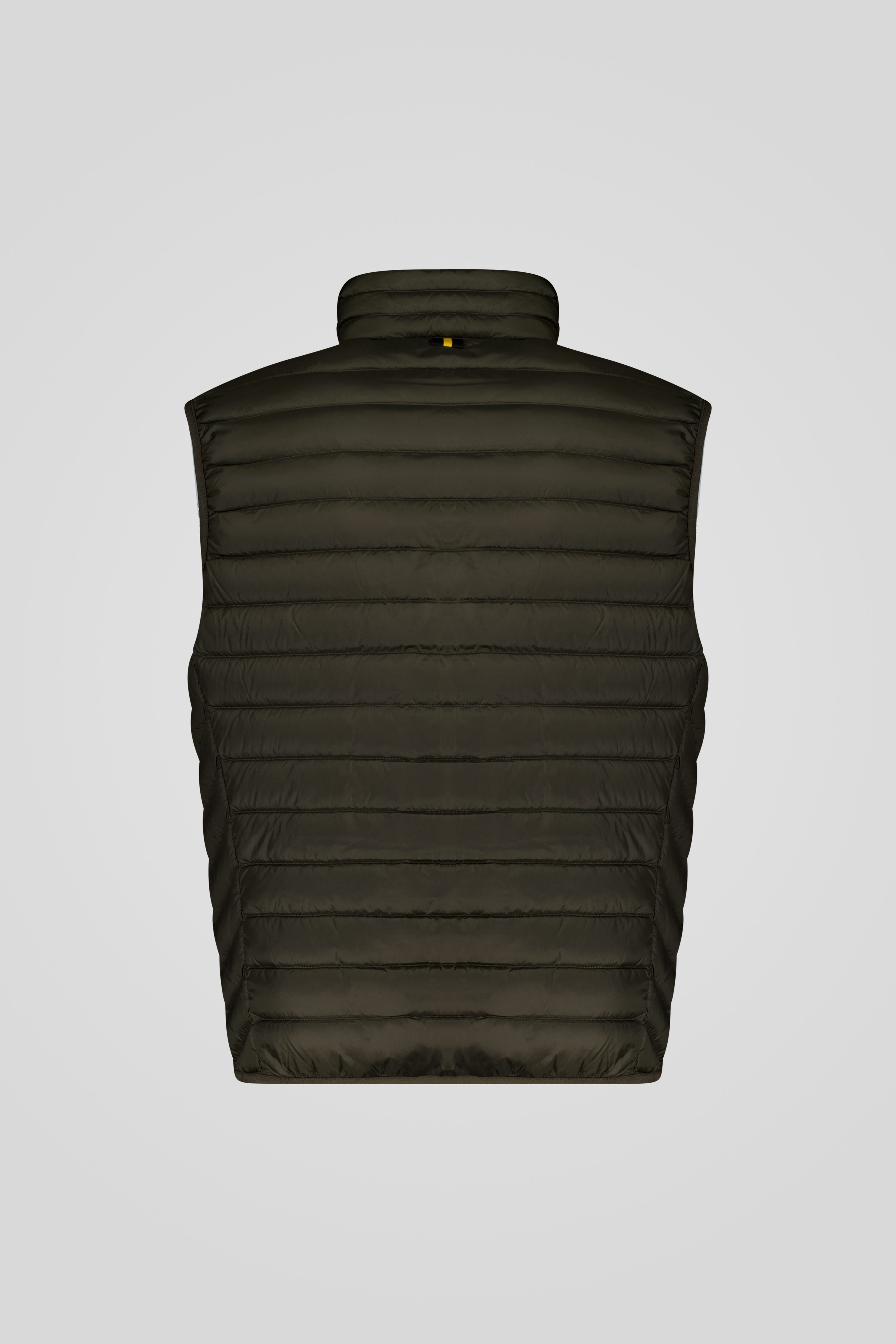 ASTOR 31_253CFMV20049_N3N11D_427XXP_Back_TIFF_1