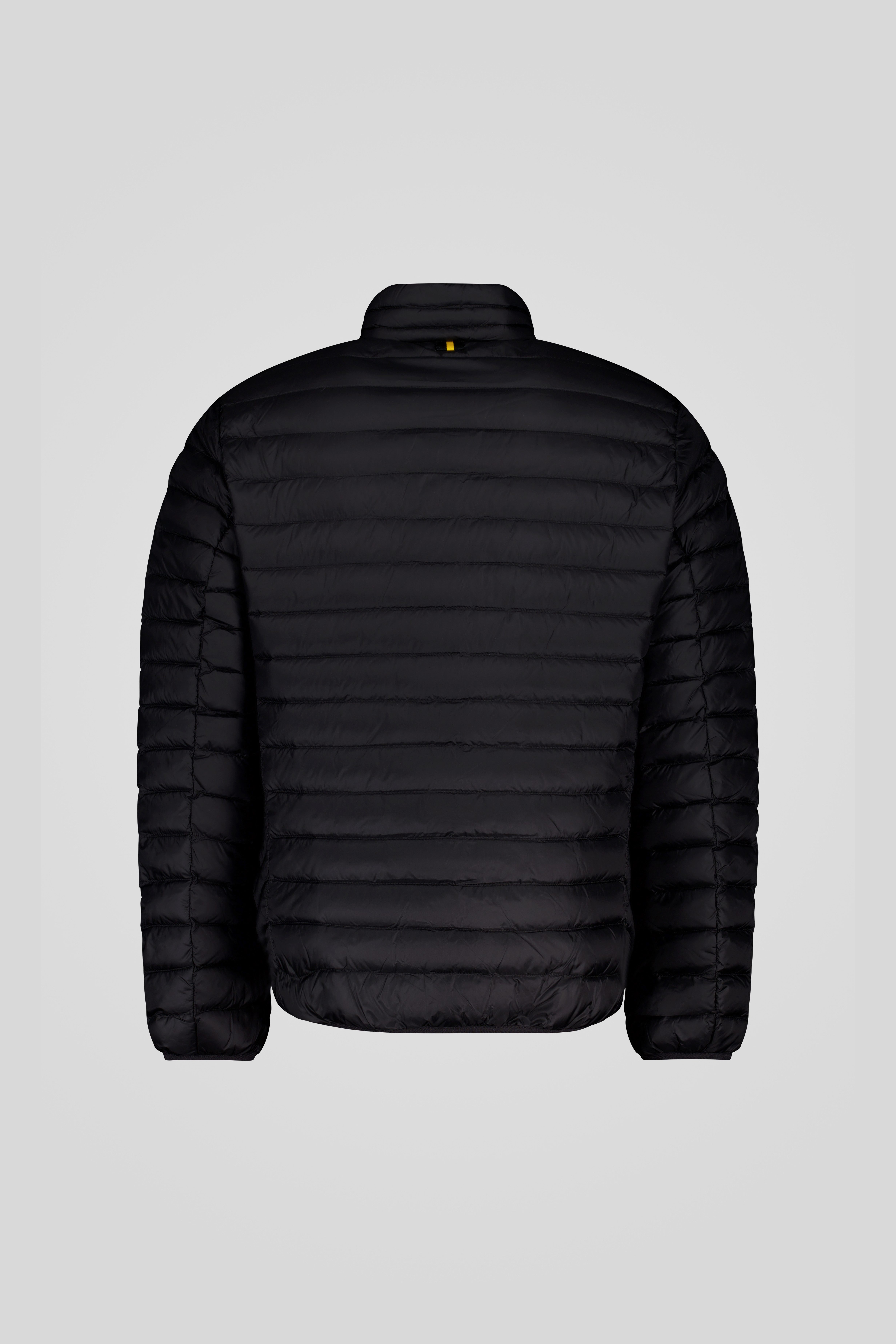 PRINCE 3_0 _253CFMJ20061_N3N11D_206XXP_Back_TIFF_1