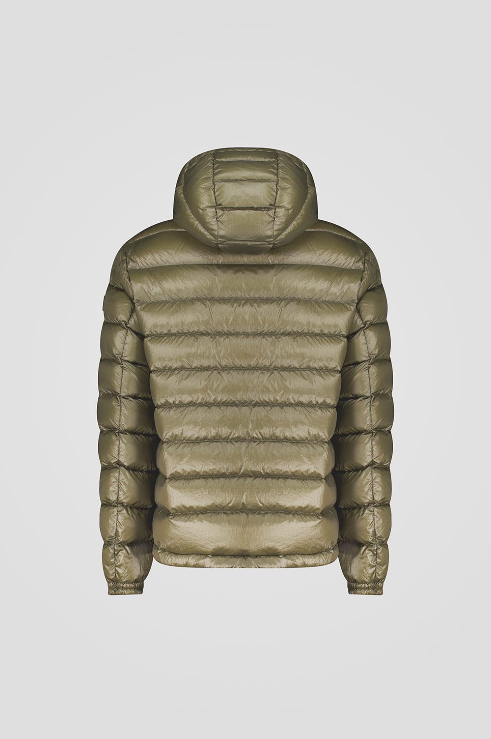 NED2.0_253CFMJ01484N5E11D427XXP_backjpg